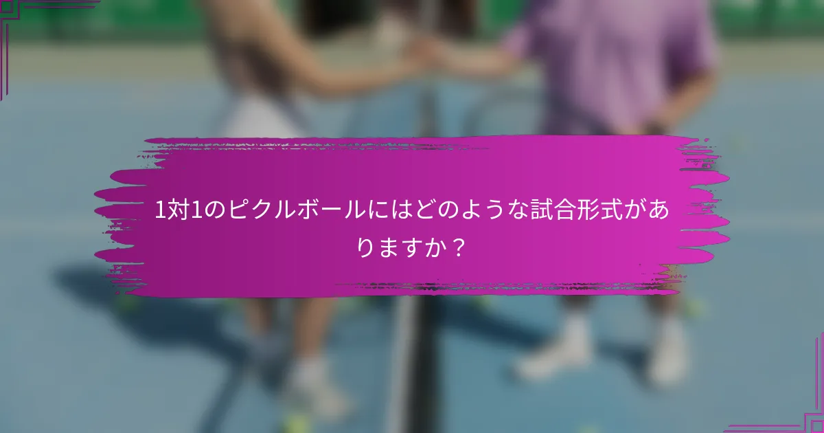 1対1のピクルボールにはどのような試合形式がありますか？