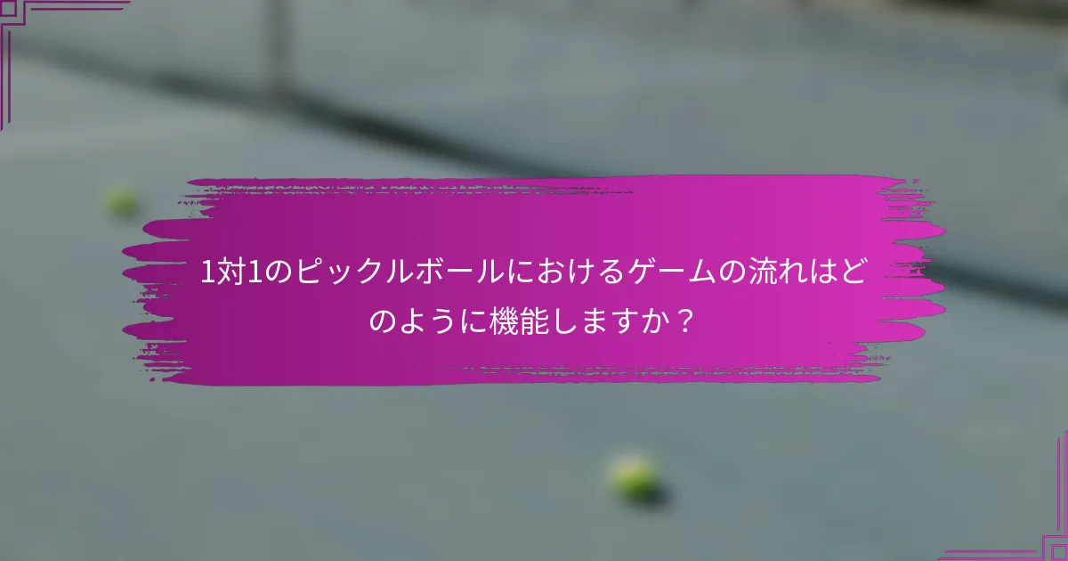 1対1のピックルボールにおけるゲームの流れはどのように機能しますか？