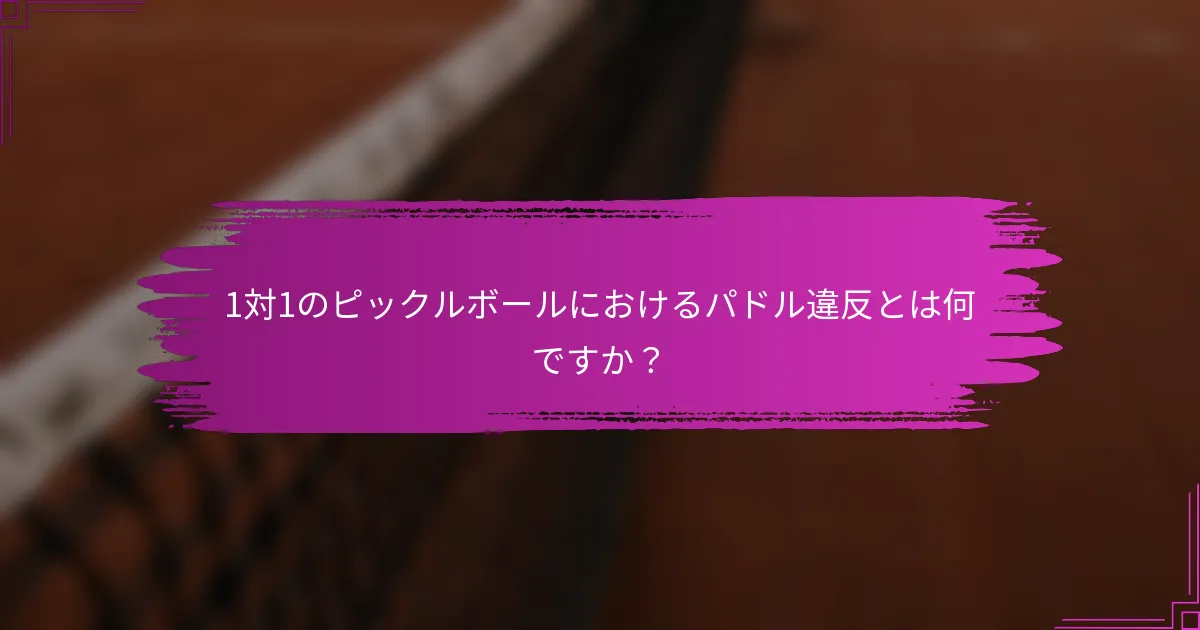 1対1のピックルボールにおけるパドル違反とは何ですか？