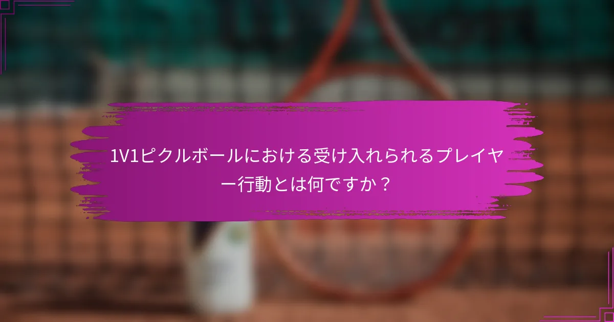 1V1ピクルボールにおける受け入れられるプレイヤー行動とは何ですか？